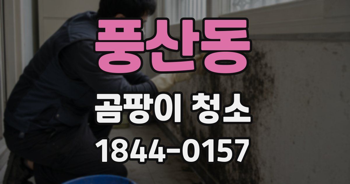 풍산동 곰팡이 청소