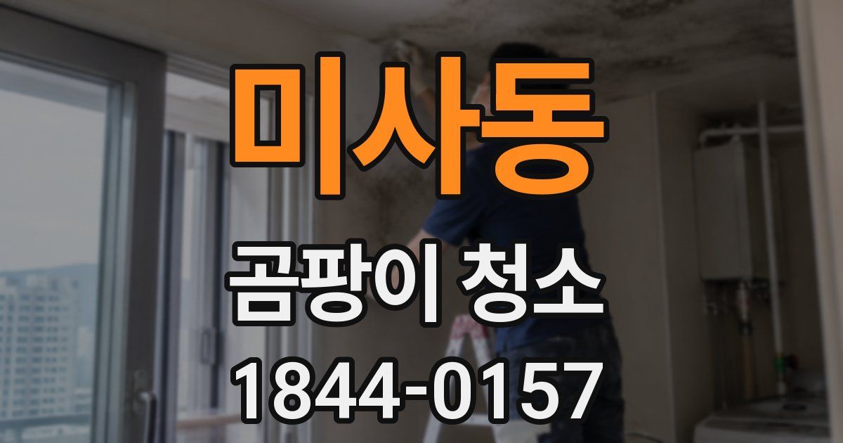 미사동 곰팡이 청소