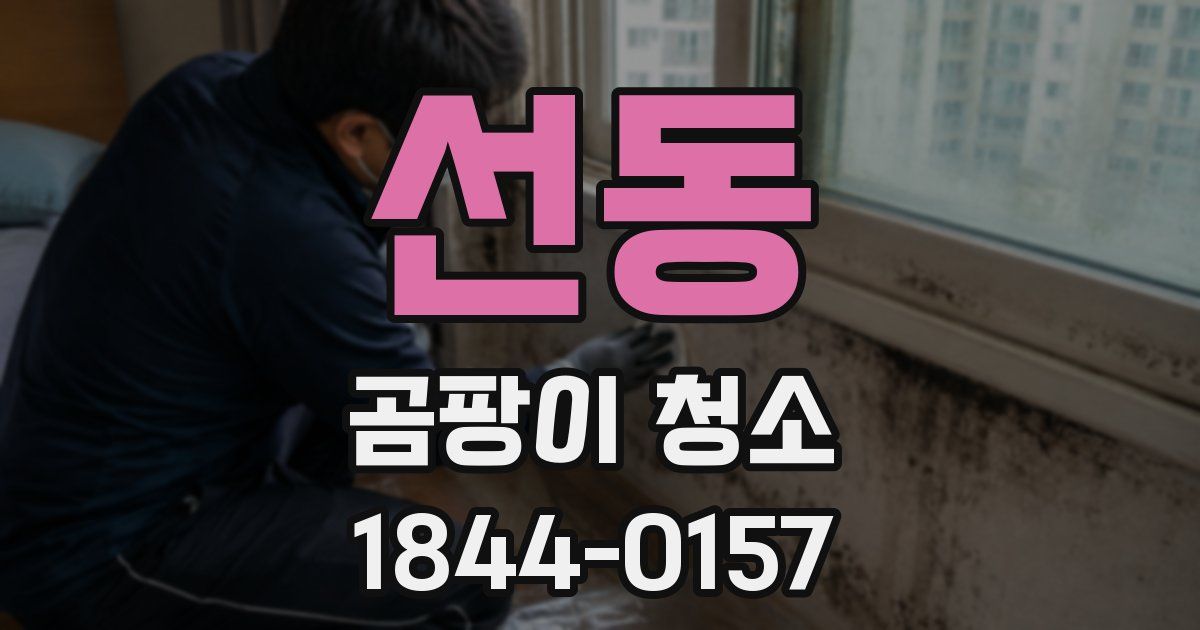선동 곰팡이 청소