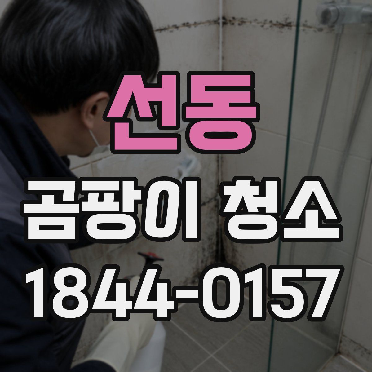 선동 곰팡이 청소