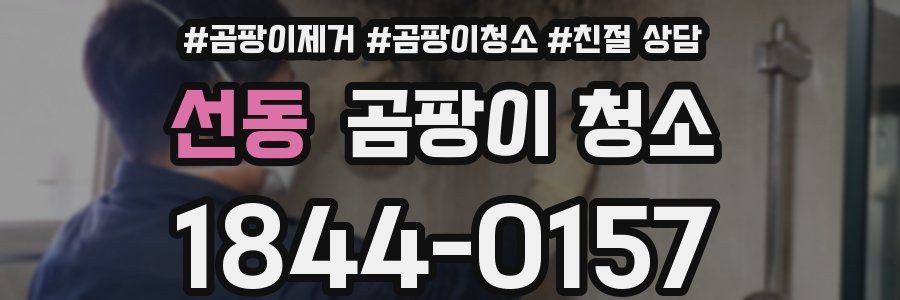 선동 곰팡이 청소