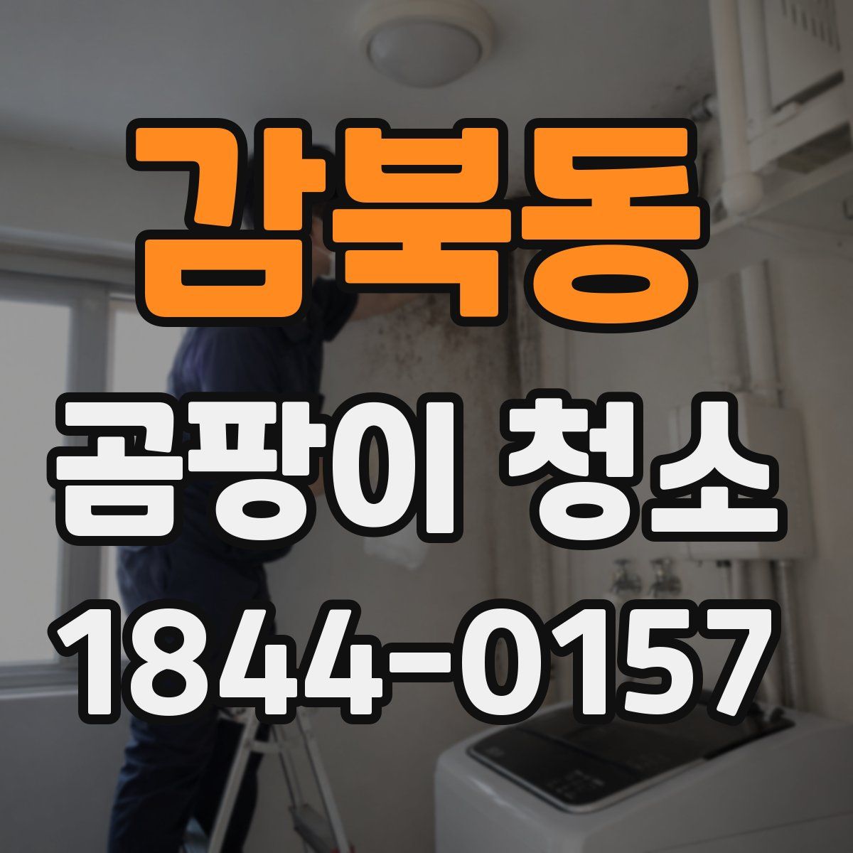 감북동 곰팡이 청소