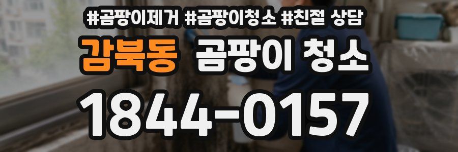 감북동 곰팡이 청소