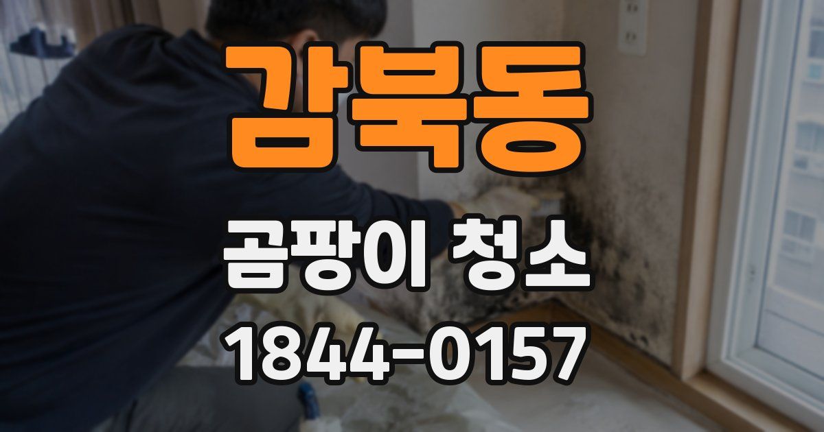 감북동 곰팡이 청소