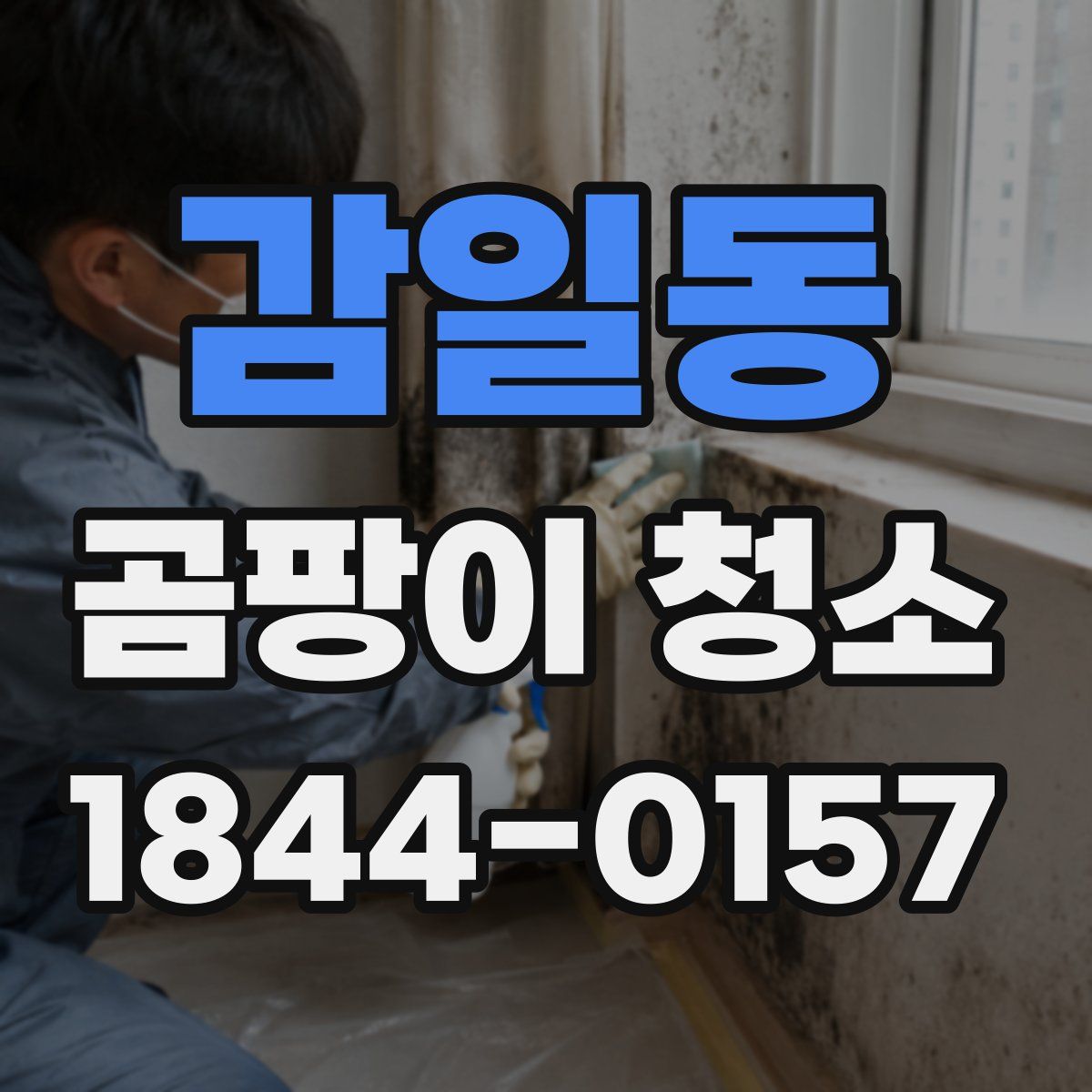 감일동 곰팡이 청소