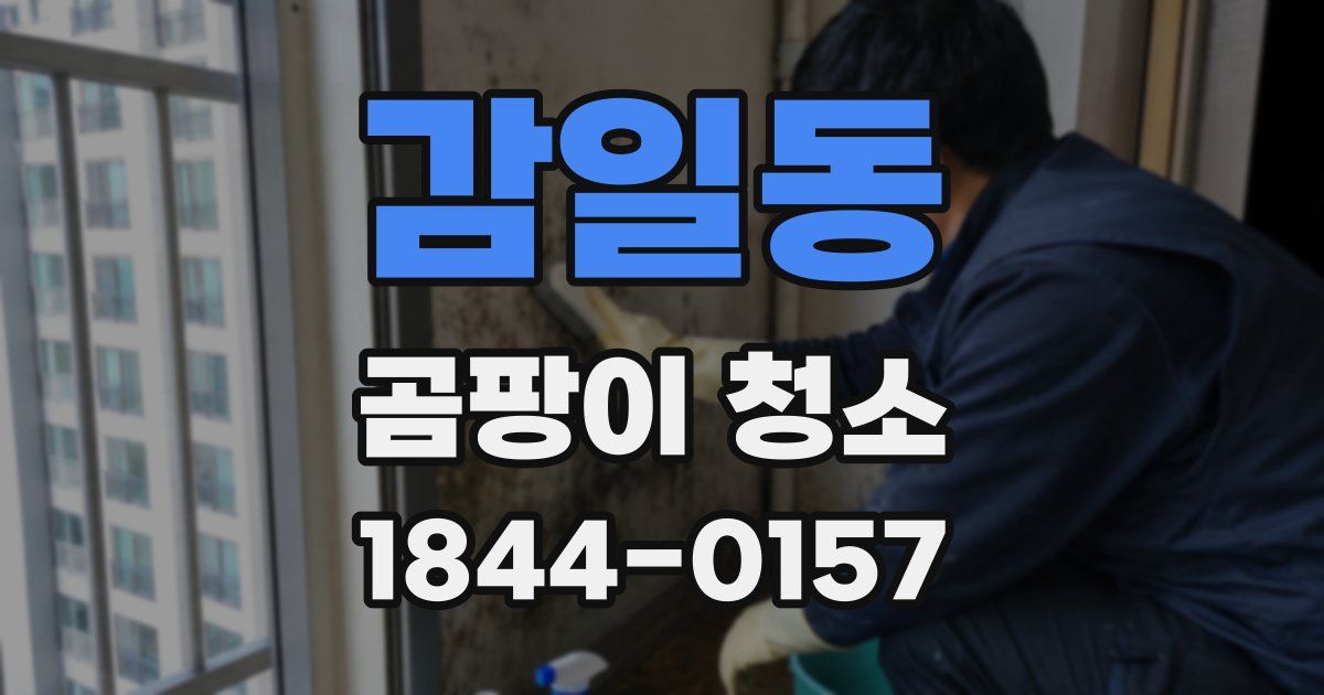 감일동 곰팡이 청소