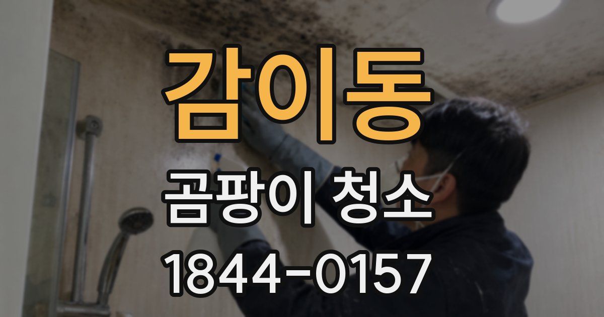 감이동 곰팡이 청소