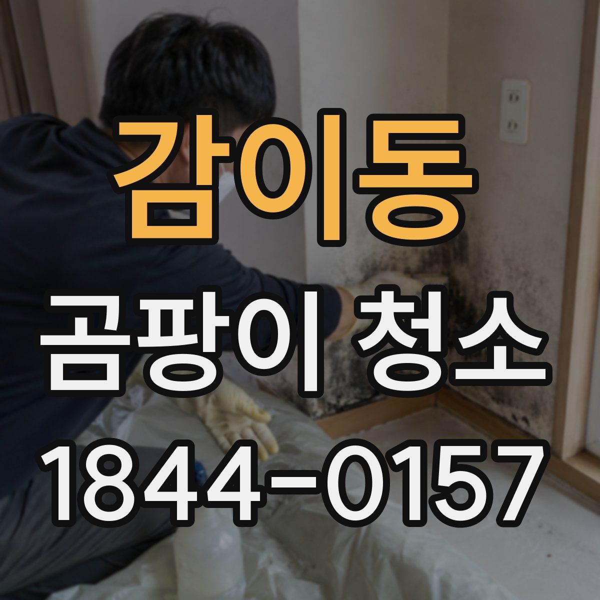 감이동 곰팡이 청소