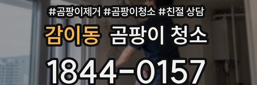 감이동 곰팡이 청소