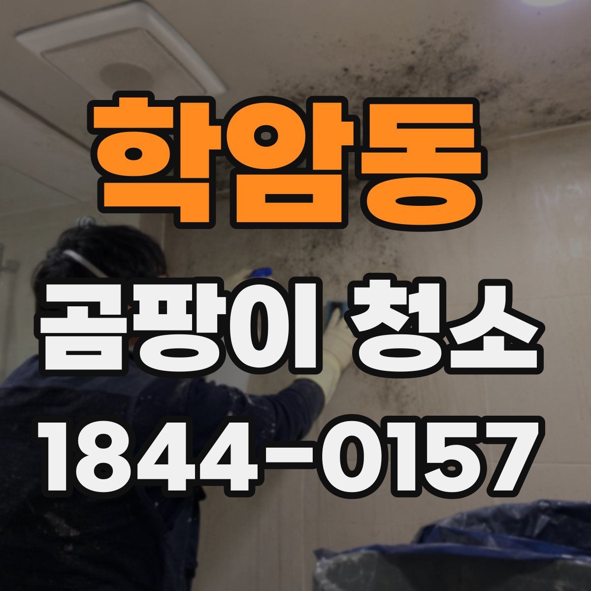 학암동 곰팡이 청소