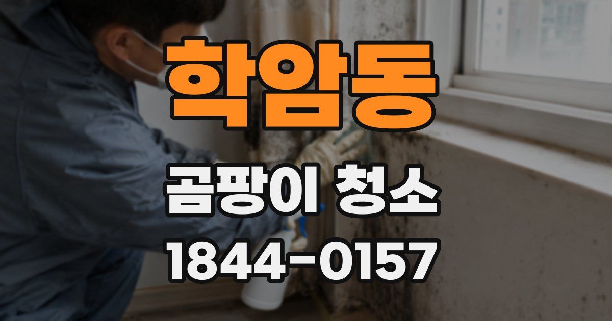 학암동 곰팡이 청소