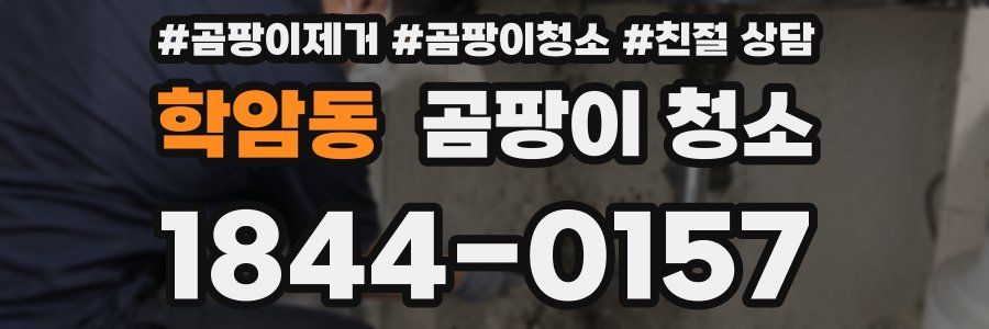 학암동 곰팡이 청소