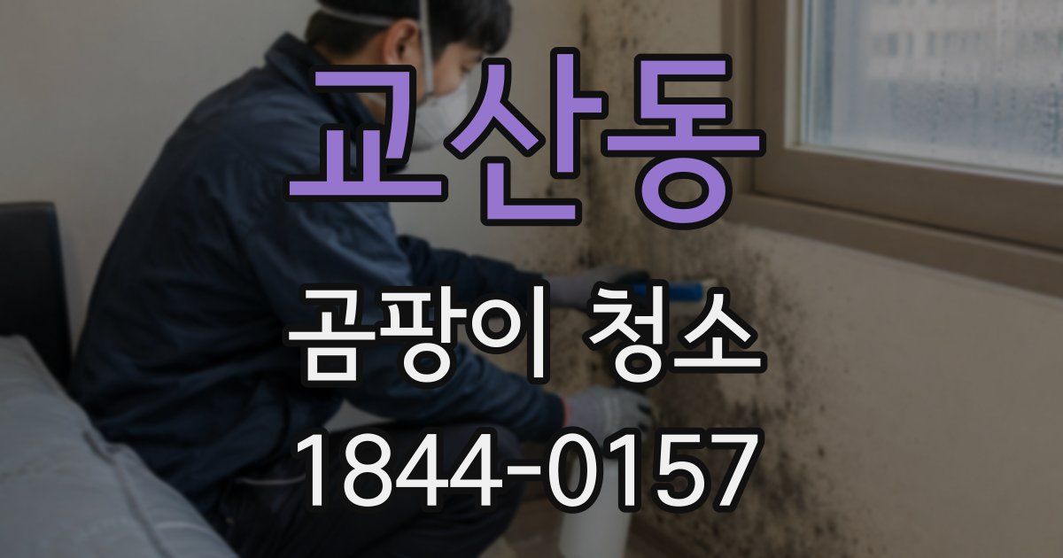 교산동 곰팡이 청소