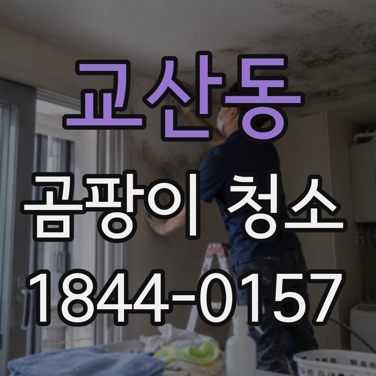 교산동 곰팡이 청소