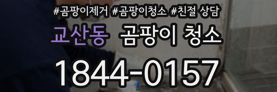 교산동 곰팡이 청소