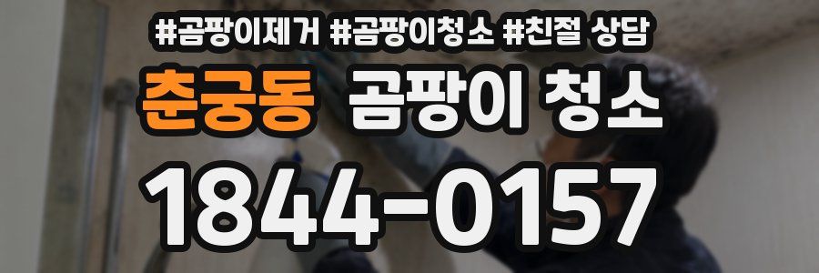 춘궁동 곰팡이 청소