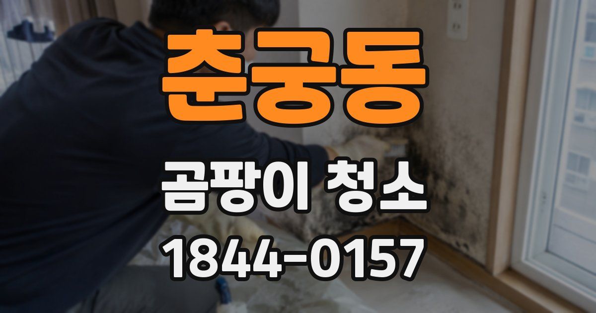 춘궁동 곰팡이 청소