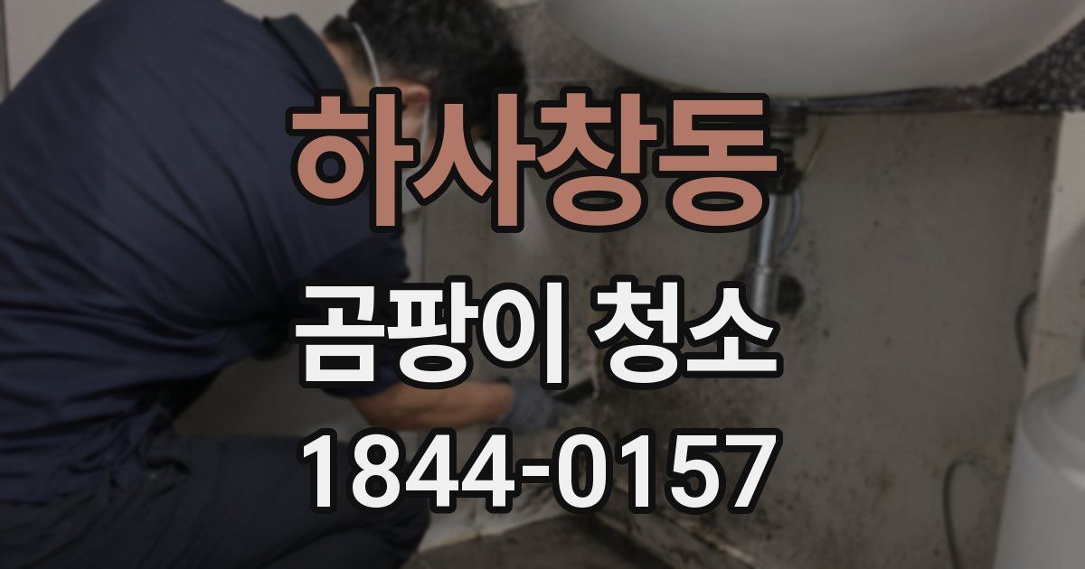 하사창동 곰팡이 청소