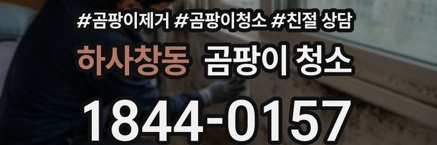 하사창동 곰팡이 청소