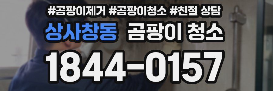 상사창동 곰팡이 청소