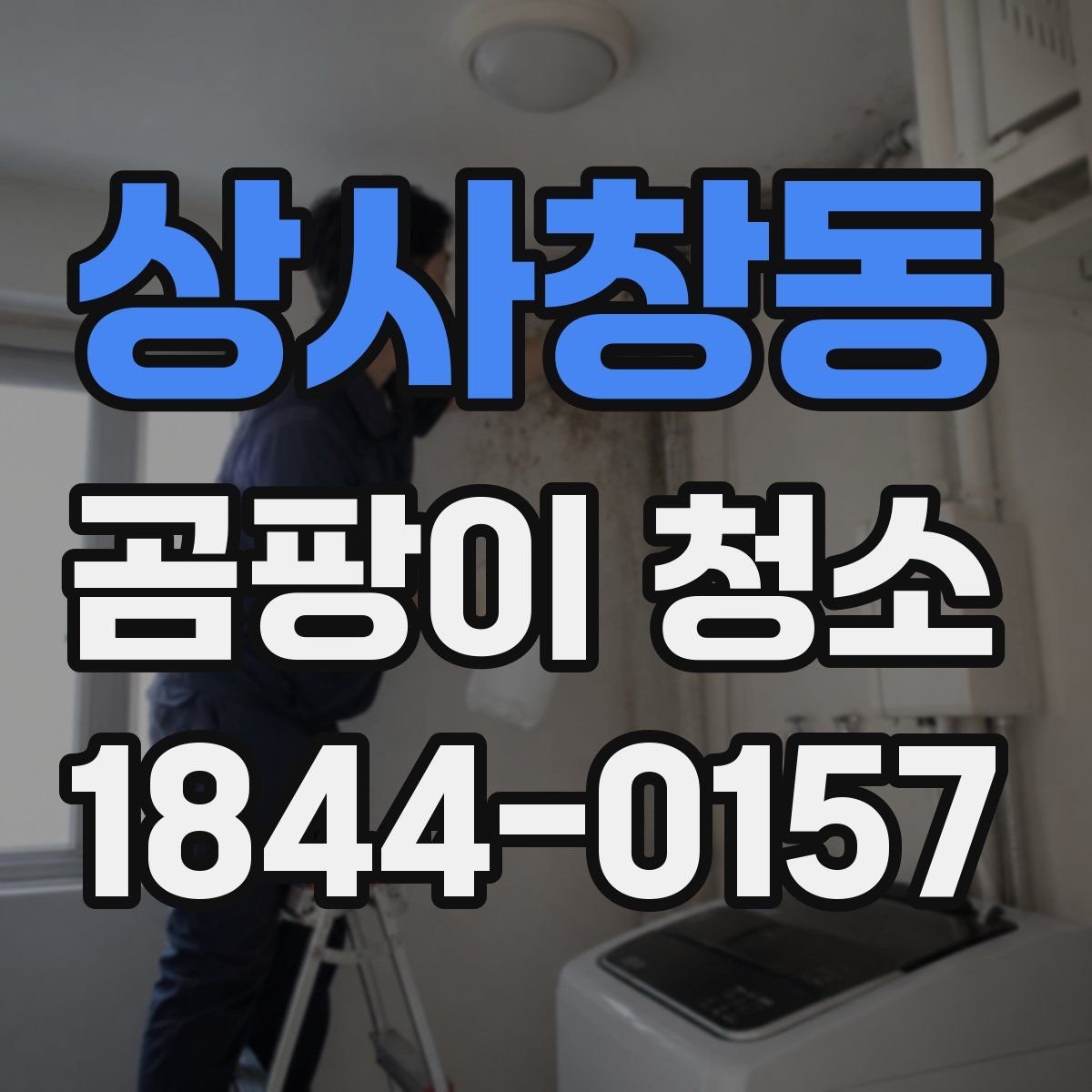 상사창동 곰팡이 청소