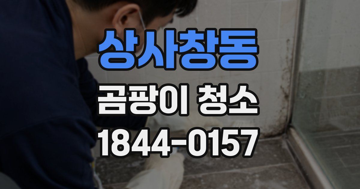 상사창동 곰팡이 청소