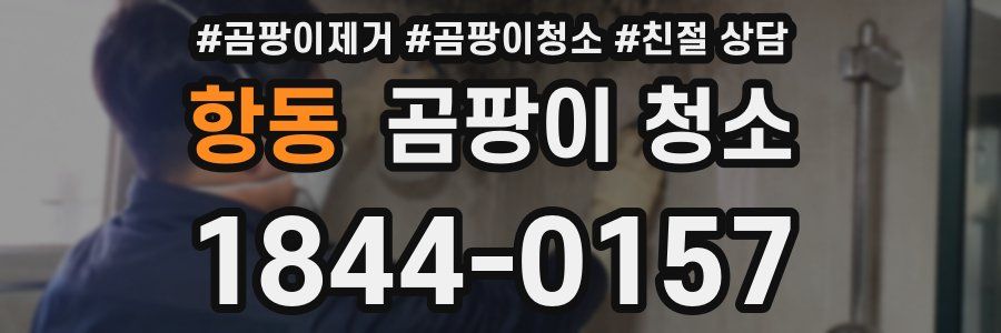항동 곰팡이 청소