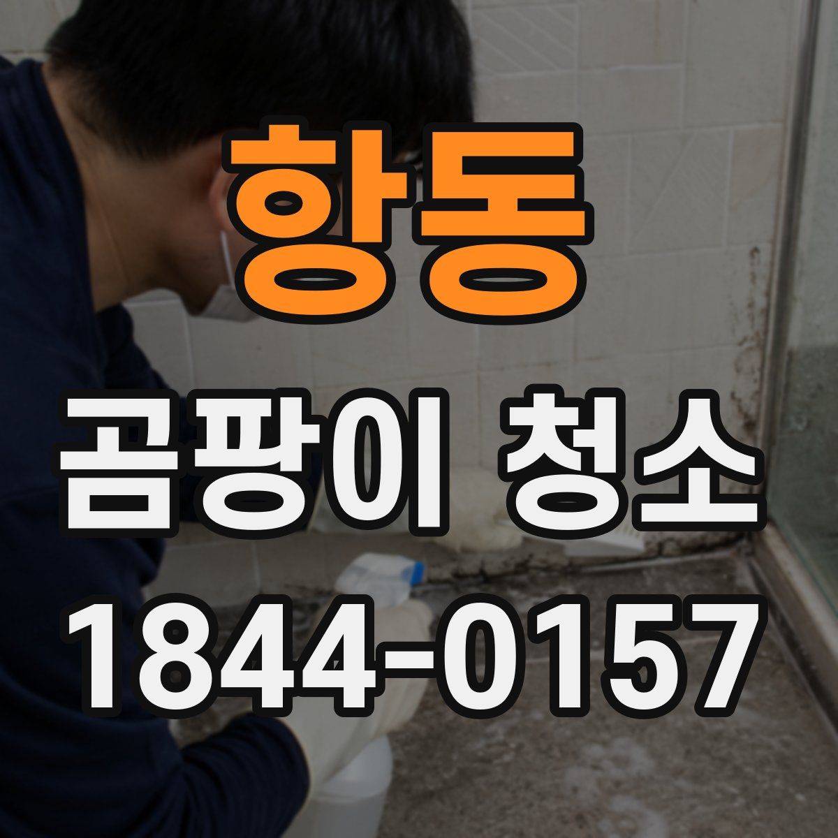 항동 곰팡이 청소