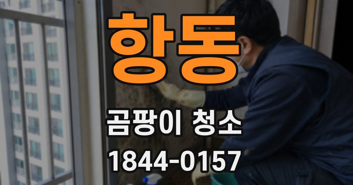 항동 곰팡이 청소