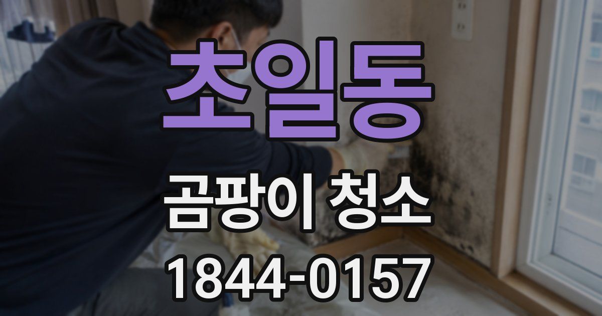초일동 곰팡이 청소