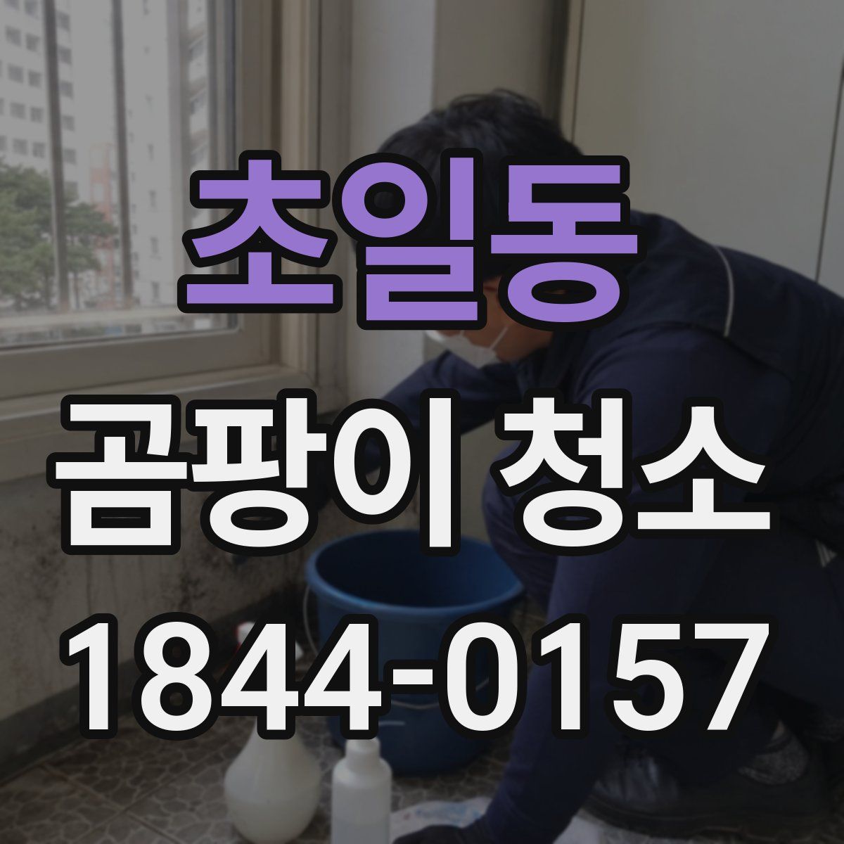 초일동 곰팡이 청소
