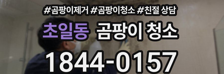 초일동 곰팡이 청소