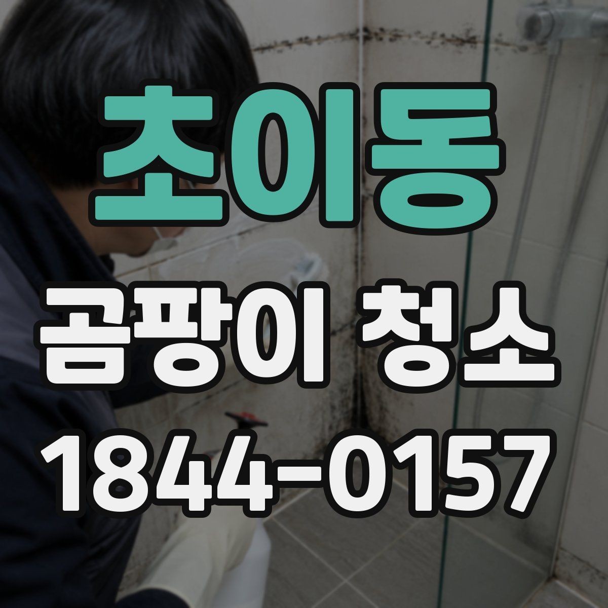 초이동 곰팡이 청소 비용, 진행 전 알아둘 점