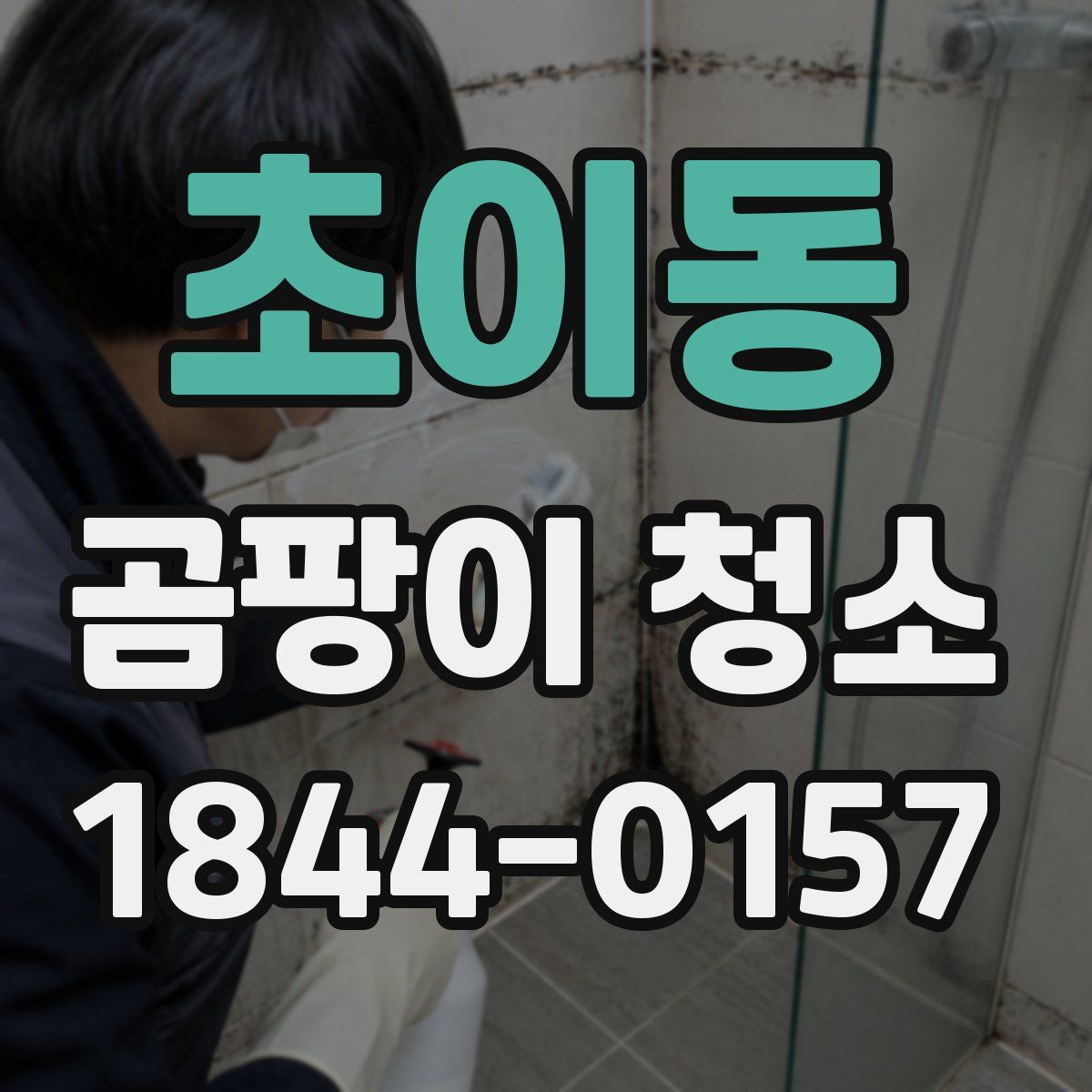 초이동 곰팡이 청소
