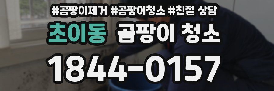 초이동 곰팡이 청소