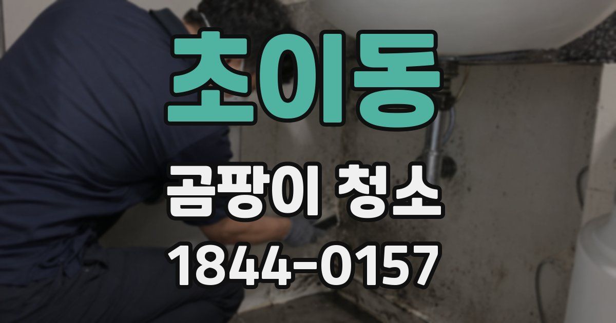 초이동 곰팡이 청소