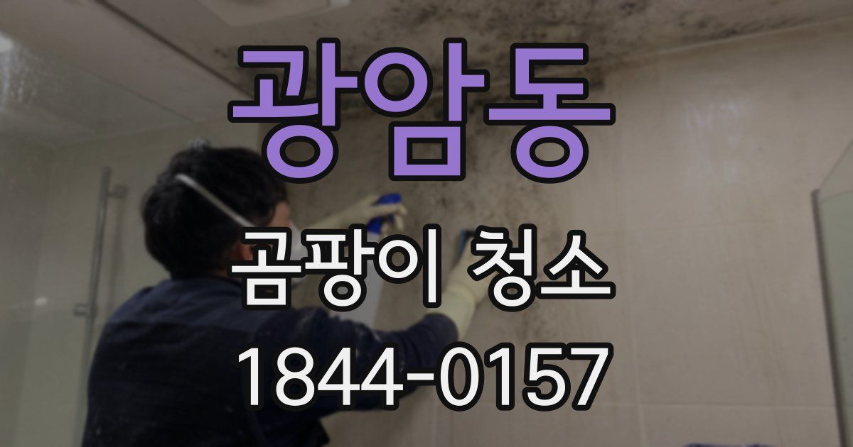 광암동 곰팡이 청소