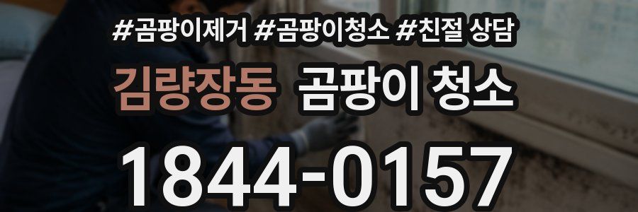 김량장동 곰팡이 청소