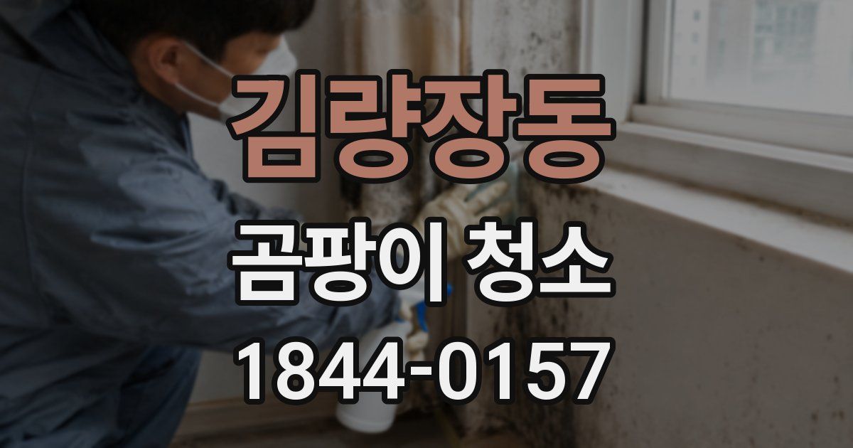 김량장동 곰팡이 청소
