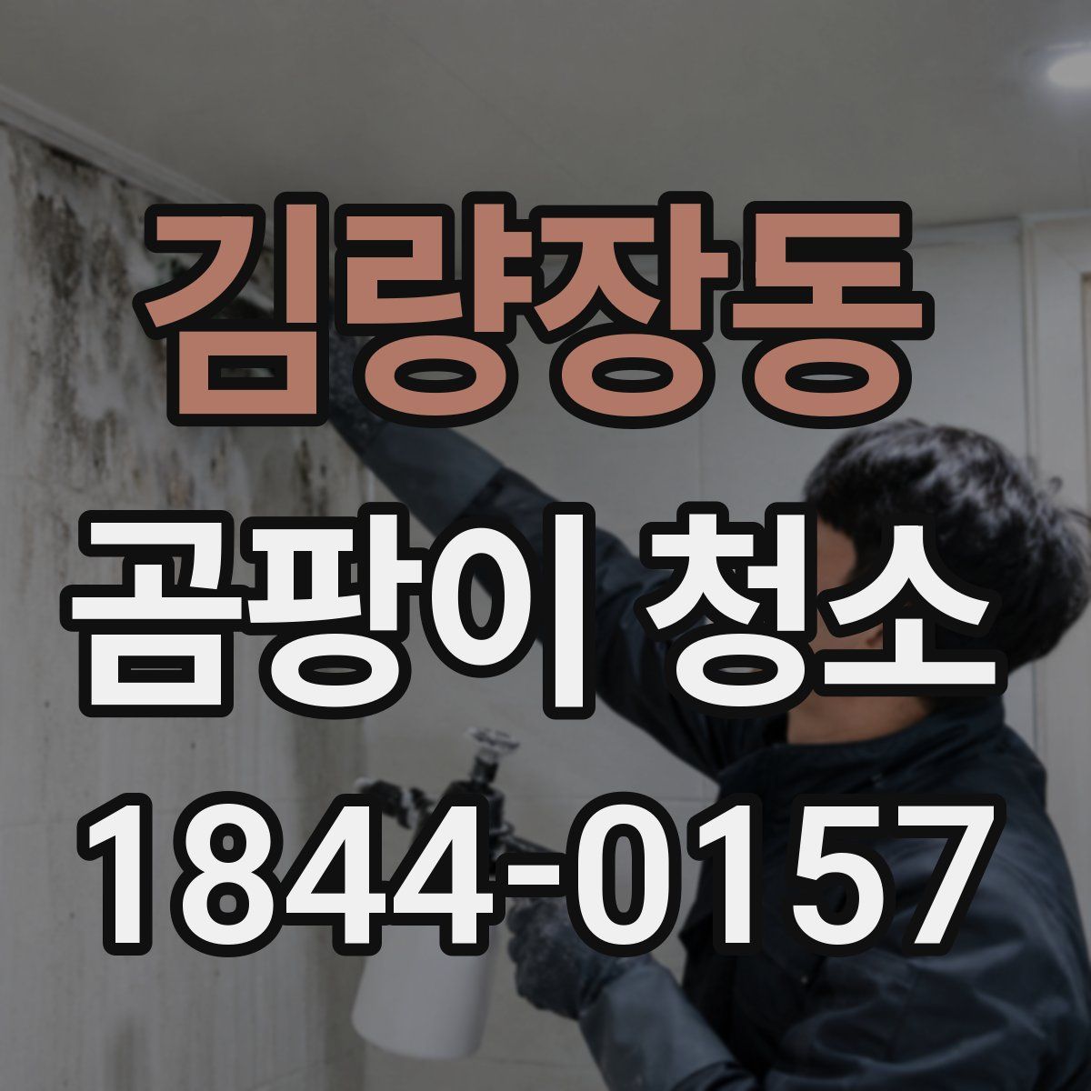 김량장동 곰팡이 청소