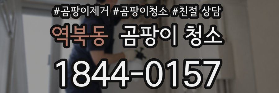 역북동 곰팡이 청소