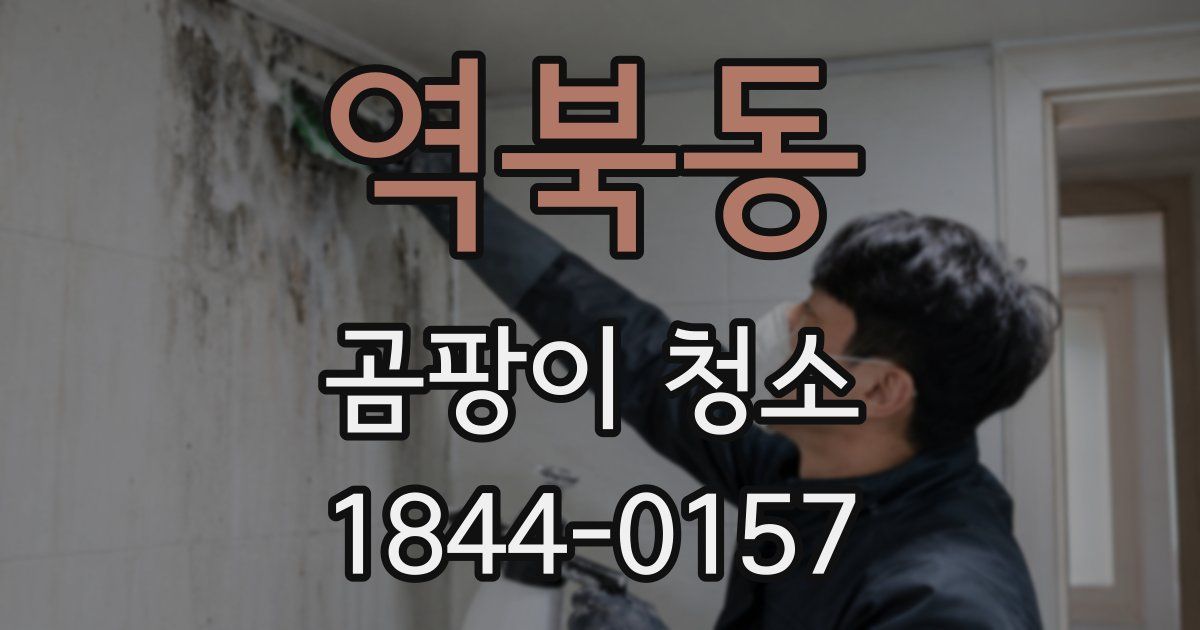 역북동 곰팡이 청소