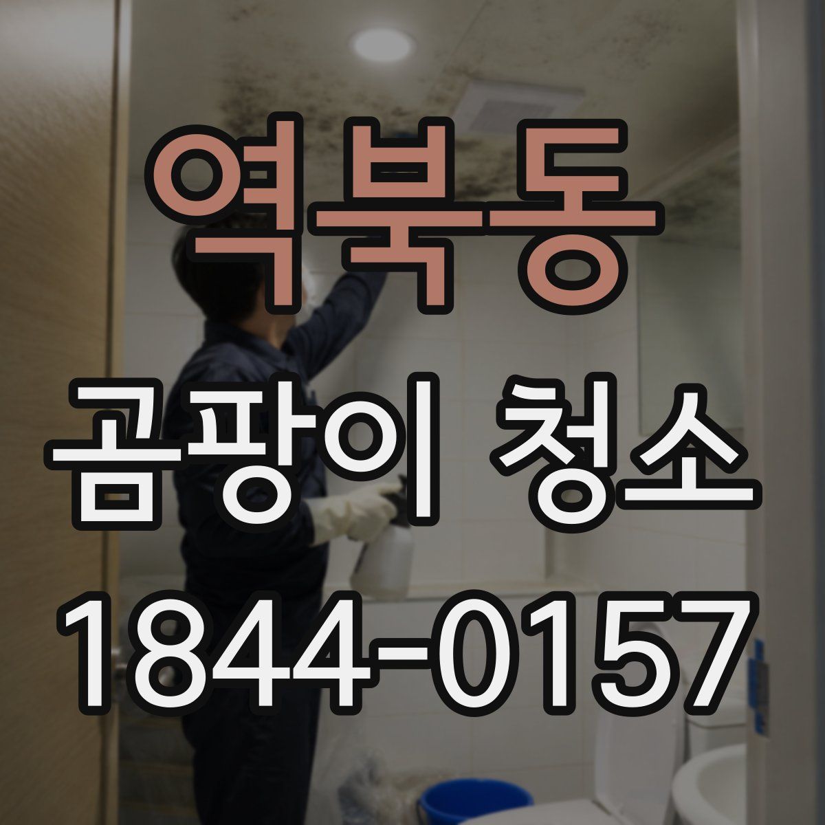 역북동 곰팡이 청소