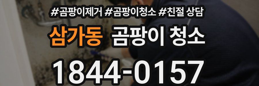 삼가동 곰팡이 청소