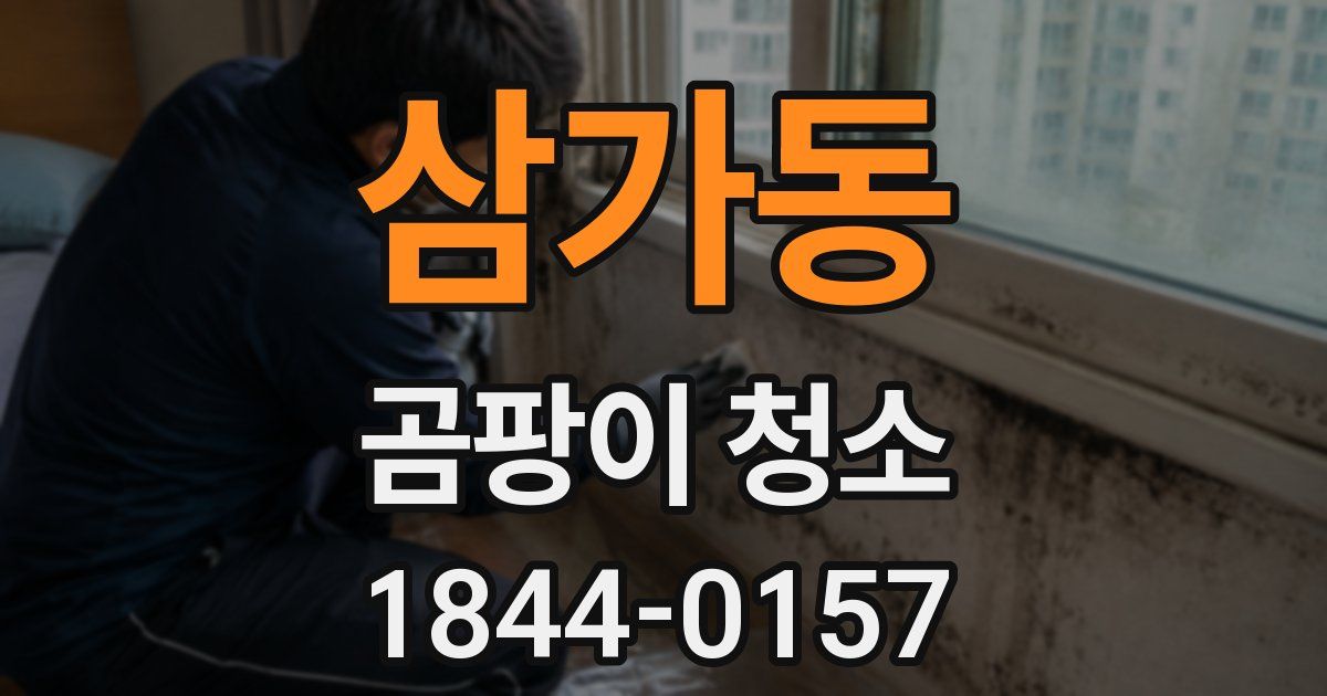 삼가동 곰팡이 청소