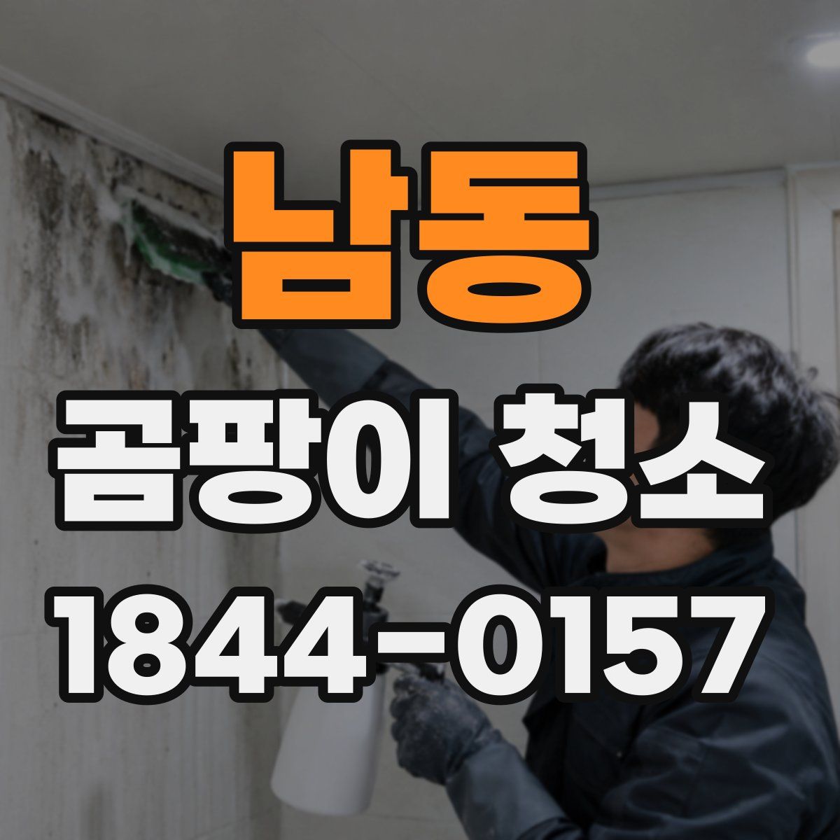 남동 곰팡이 청소