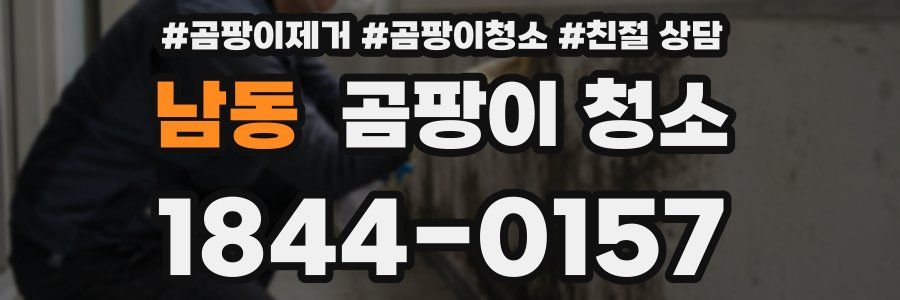 남동 곰팡이 청소
