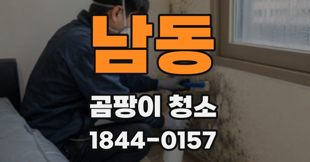 남동 곰팡이 청소