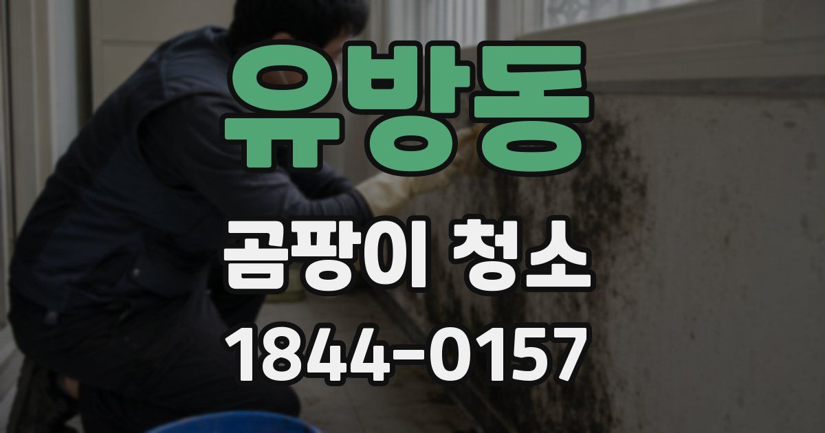 유방동 곰팡이 청소