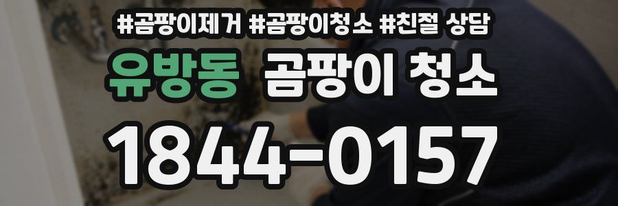 유방동 곰팡이 청소